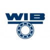 WIB
