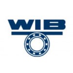 WIB