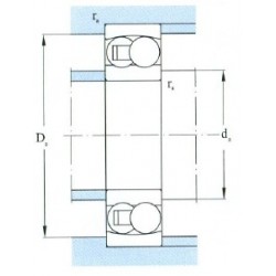 HRB 1309AKTN Self-aligning ball bearing