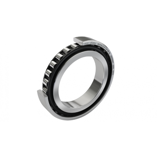 NSK N1013RXTPKRCC0P4Y Cylindrical roller bearing