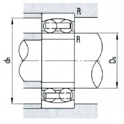 ZWZ 1210K Self-aligning ball bearing