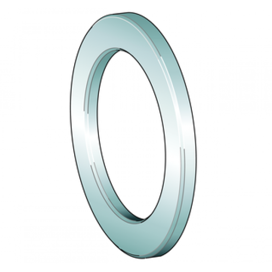 INA GS81115 Housing positioning gasket