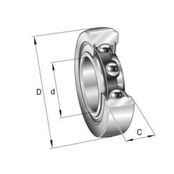 INA LR 205 NPP roller