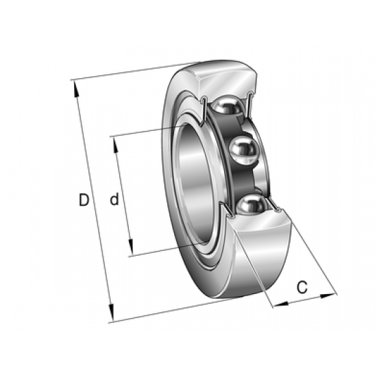INA LR204-2RSR roller