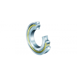 FAG N317-E-XL-M1 Cylindrical roller bearing