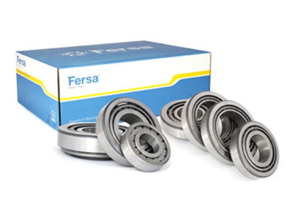 FERSA