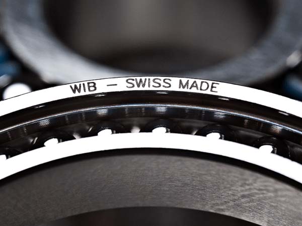 WIB